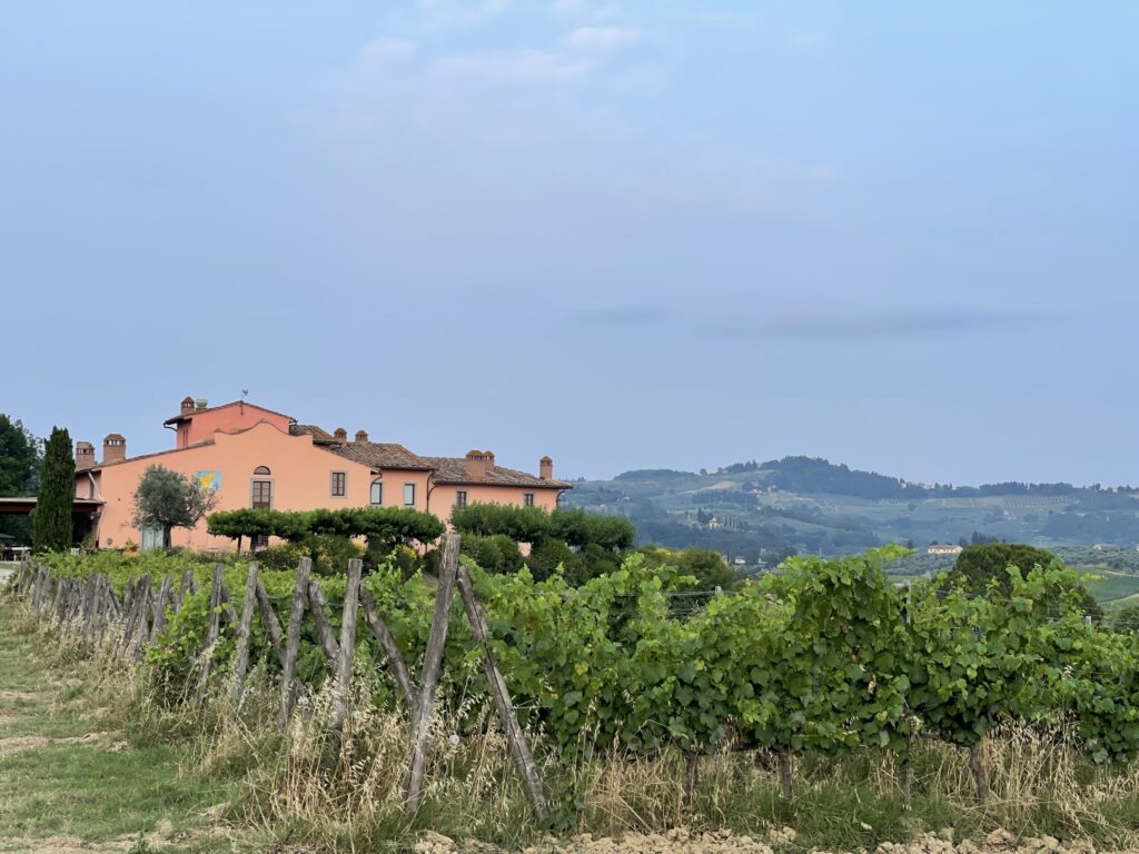 strandedinparadise.net